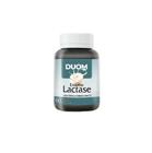 Enzima Lactase 400Mg 60Cápsulas - Duom