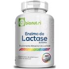 Enzima Lactase - 60 Capsulas - Bionutri