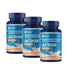 Enzima Lactase Natural 400mg 60 Cápsulas - 3 Potes