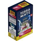 Erva Terere Terra Mate Premium energetico 500g