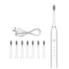 Escova de Dente Elétrica 6 Modos Ajustáveis 110v Recarregavel Pouco Ruído Branco