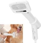 Escova Secadora Gato Cachorro Pet Animal Cão Pelo 220 Volts - Secador Com Escova Prático