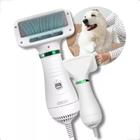 Escova Secadora Pet para Banho e Tosa, Seca e Remove Pelos 110V