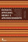 Escravo, africano, negro e afrodescendente: a representação do negro no contexto pós-abolição e o mercado de materiais didáticos (1997-2012)