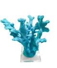 Escultura coral medio com base acrilica azul tifanny - Thay Thay