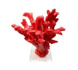 Escultura coral medio com base acrilica vermelho - Thay Thay