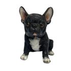 Escultura de Resina Cachorro Bulldog Francês - 18CM - Casarão Real