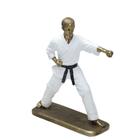 Escultura decor lutador judo em resina branco/dour - 23,5cm - Espressione