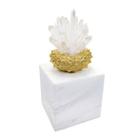 Escultura Decorativa Coral em Cristal Detalhes Dourado Base - LUXdécor