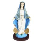 Escultura Nossa Senhora Das Medalhas Milagrosas 26Cm Resina