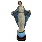 Escultura Nossa Senhora Do Sorriso 29 Cm Em Resina