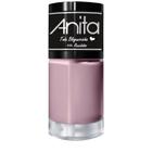 Esmalte Anita Toda Blogueirinha - Recebidos