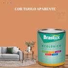 Esmalte Sintético Brasilux Base Água Ecologico Cor Laranja 800ML Brilhante