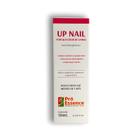 Esmalte Up Nail Para Unhas Fracas Resultado Rápido