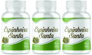 Espinheira Santa 360 Cápsulas 500mg 3 Frascos de120 cápsulas