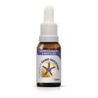 Espiritualidade E Meditação Saint Germain 10Ml