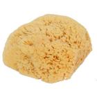 Esponja de Banho Natural Sea Sponge - Grande (Pacote com 2)