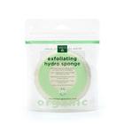 Esponja Redonda Esfoliante de Algodão Orgânico Earth Therapeutics (4 Unidades)
