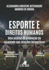 Esporte e Direitos Humanos: Uma Análise Da  Da igualdade Nas Relações Desportivas - LACIER