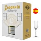 Espumante Espanhol Cava Codorniu Clasico Brut - Kit taça Barcelona