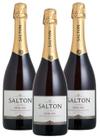 Espumante Salton Demi Sec 750ml Riesling e Chardonnay