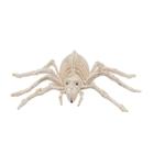 Esqueleto 3D Aranha - Unidade - C.M