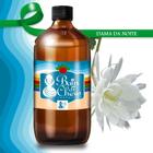 Essência Aromática Concentrada Vela500Ml - Eucalipto - Bain Di Chero