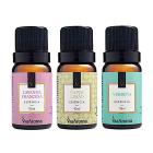 Essencia Aromatica Via Aroma Kit Lavanda Francesa, Capim Limão e Verbena 10ml
