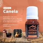 Essência canela 15 ml - casa fé