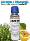 Essência Concentrada Alecrim e Maracuja HS 100ml