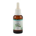 Essência Concentrada Chá Bamboo -30ml