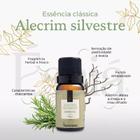 Essência de Alecrim Silvestre Via Aroma 10ml Clássica Para Aromatizador e Difusor de Aromas