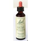 Essência de flor chicória 20 ml da Bach Flower Remedies (pacote com 4)