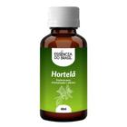 Essência De Hortelã 60Ml Aromatizadores, Difusores E Velas