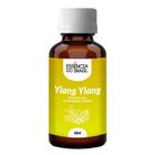 Essência De Ylang Ylang 60Ml Aromatizadores Difusores Velas - Essência Do Brasil