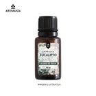 Essência Eucalipto HS 15 ml