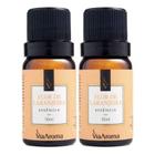 Essência Flor De Laranjeira 2 X 10ml - Via Aroma