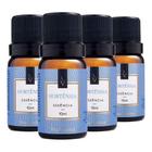 Essência Hortensia 4 X 10ml - Via Aroma