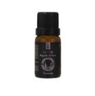 Essência Linha Mundo 10ml - Escolha 20 Opções - Via Aroma