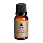 Essências Cheiro Zen 15 Ml - Escolha As Fragrâncias