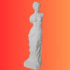 Estátua de Gesso Deusa Venus de Milo