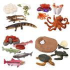 Estatueta Toy Toymany Sea Animal Life Cycle 17 unidades para crianças