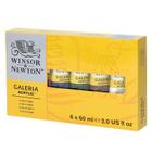 Estojo Tinta Galeria Winsor & Newton 60Ml 06 Unidades