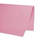 Eva simples rosa claro 40X60cm