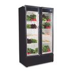 Expositor Vertical p/ Frutas e Verduras RF-020-V - 2 Portas 700 L +2 a +15 C Ar Forçado Iluminação LED - Frilux