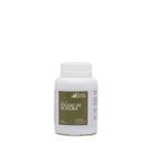 Extrato de Folha de Oliveira 500mg - 60 Capsulas - Vital Natus