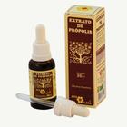 Extrato De Propolis - 30ml Apis Flora