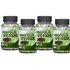 Extrato de própolis verde caps 500mg 60 cáps kit com 4 - WORLD ECOMMERCE