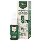 Extrato de Própolis Verde Orgânico 16% pv Líquido 30ml Apis Flora