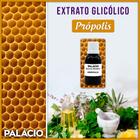 Extrato Glicólico de Própolis - 100 ml - Palácio das Artes e Essências